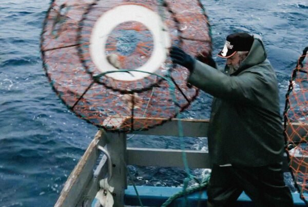 Snow Crab Leg Meat 4 lbs Prime Butter + Prime Blend Seasoning + Cocktail Sauce